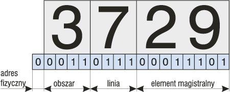 Przykładowy adres fizyczny w postaci dziesiętnej oraz binarnej