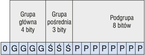Struktura trójpoziomowa adresu grupowego
