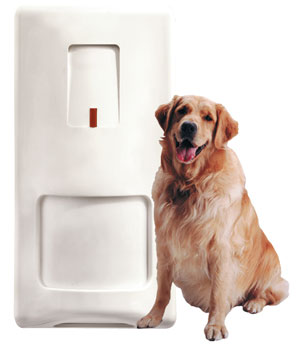 pet2.jpg pet2.jpg