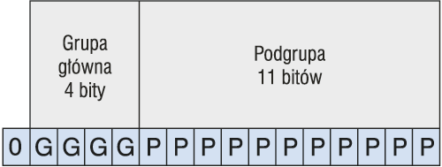 Struktura dwupoziomowa adresu grupowego